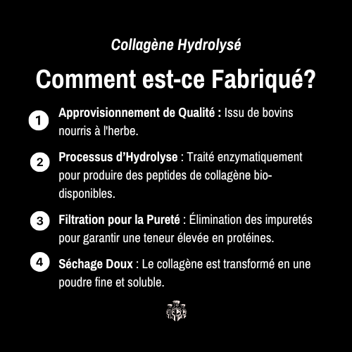 Collagène bovin hydrolysé – Récupération & performance
